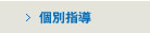 個別指導
